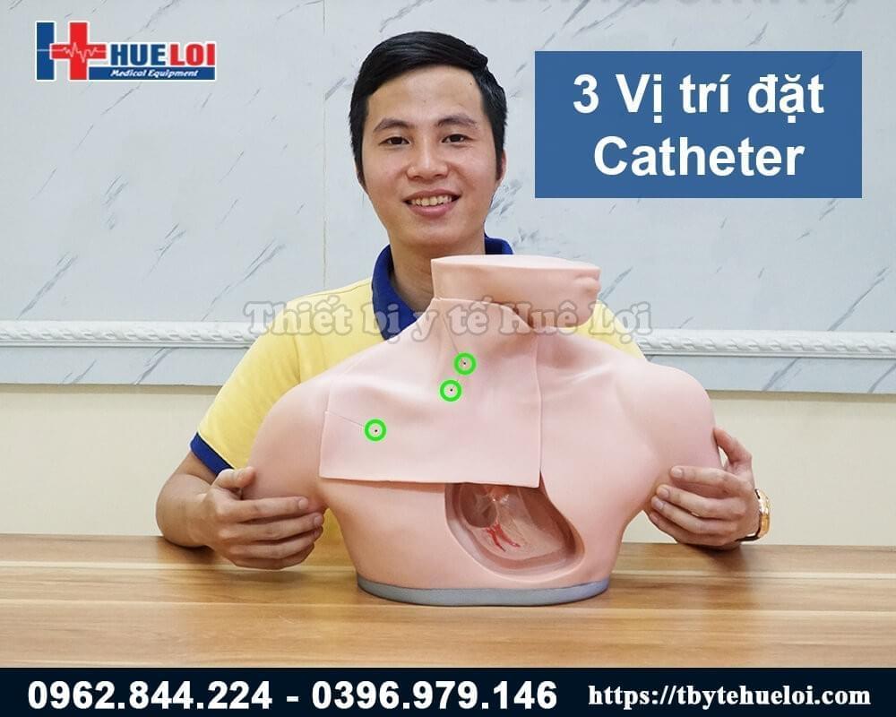 các vị trí đặt catheter tĩnh mạch trung tâm