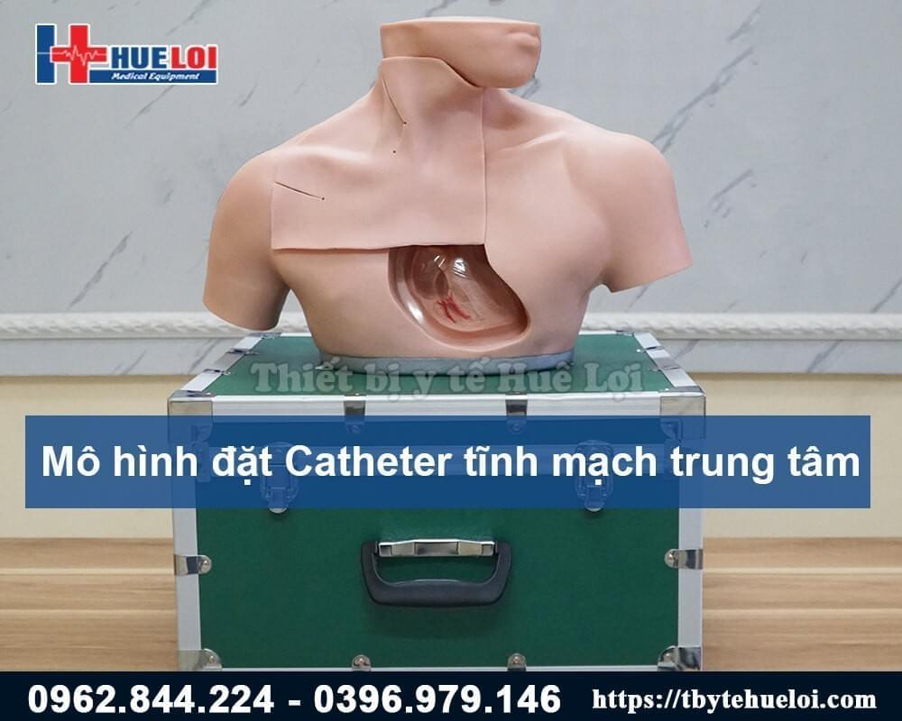 mô hình đặt catheter tĩnh mạch trung tâm