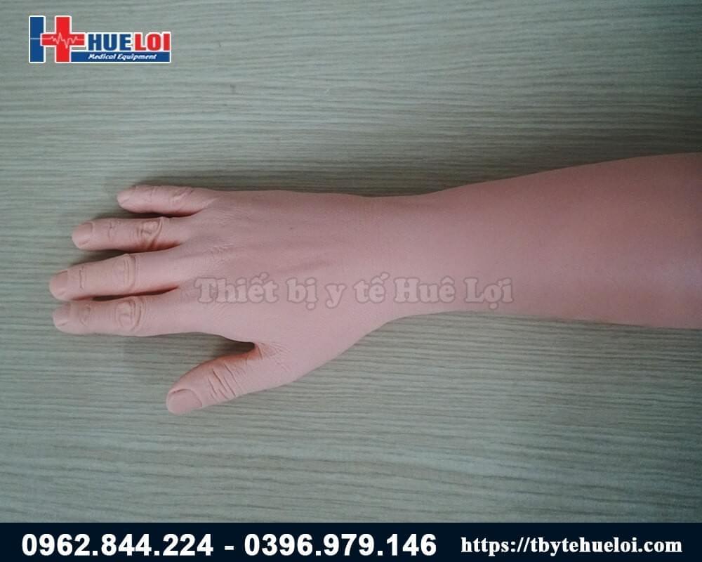 mô hình bàn tay giả thực hành khâu vết thương