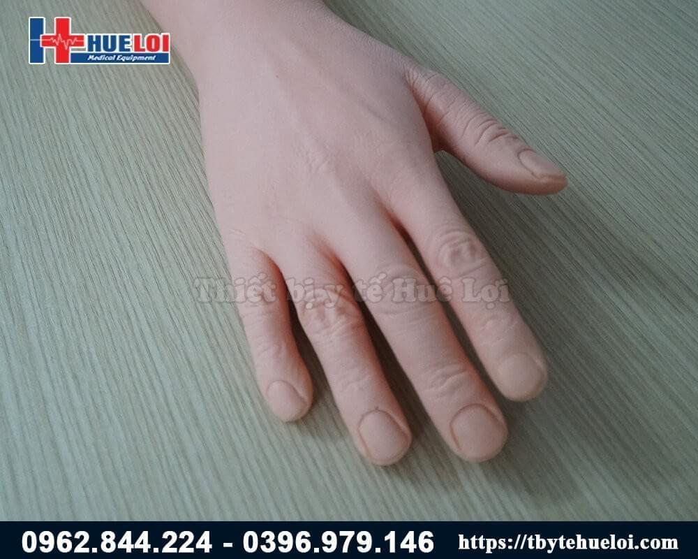 mô hình bàn tay người thực hành chăm sóc vết thương