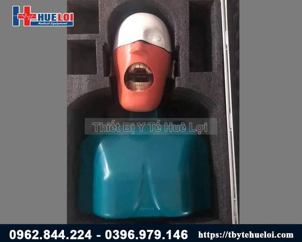 mô hình thực tập khám răng